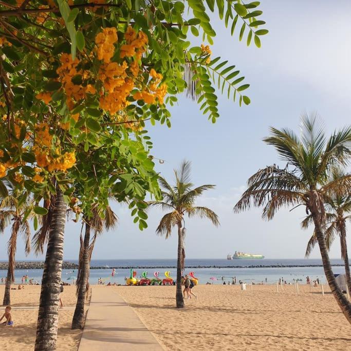 San Andres Beach View Apartment Luaran gambar
